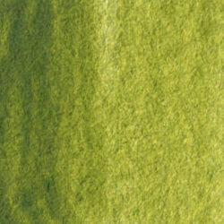 St Petersburg White Nights Olive Green 1/1 kopp Tub & Färgprov