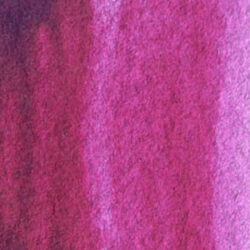 St Petersburg White Nights Quinacridone Rose 1/1 kopp Tub & Färgprov