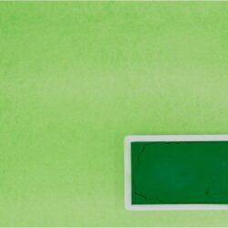 Kremer Pigmente akvarellfärg Studio Pigment Light Green halvkopp Tub & Färgprov