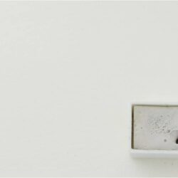 Kremer Pigmente akvarellfärg Warm Gray No. 1 halvkopp Tub & Färgprov