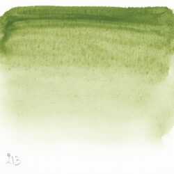 Sennelier Green earth L’Aquarelle Artists’ watercolor