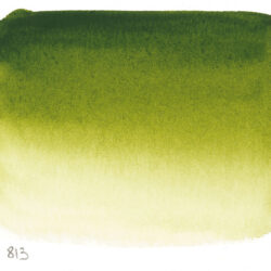 Sennelier Olive Green L’Aquarelle Artists’ watercolor