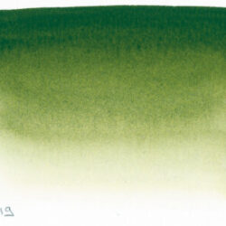 Sennelier Sap Green Artists' akvarellfärg