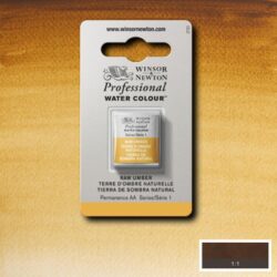 Winsor&Newton Raw umber Professional watercolor