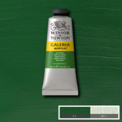 Winsor&Newton Galeria Sap Green acrylic