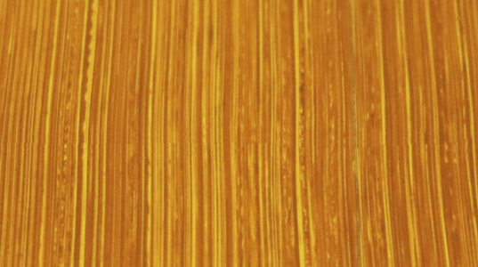 Michael Harding New Gamboge oil Michael Harding New Gamboge oil