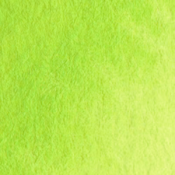 May Green är ett ljust, vårfriskt grönt pigment med hög transparens och mjuk lyster. Färgen lutar svagt mot gult, vilket ger den en varm, levande karaktär snarare än ett kallt eller tungt grönt uttryck.